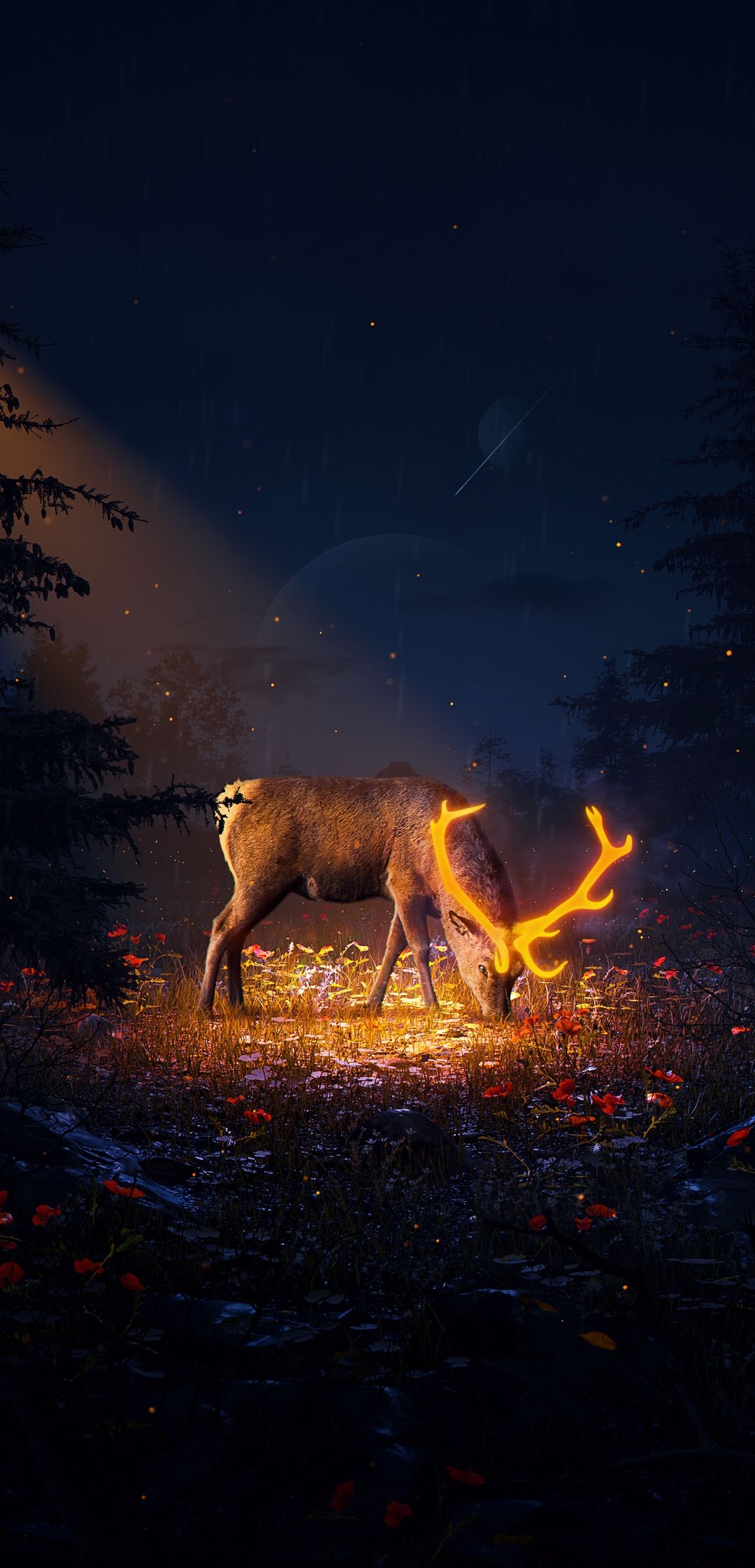 Deer_Wildlife_HD